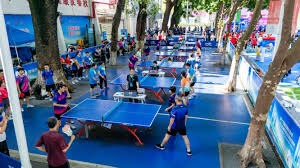 王励勤评价国乒阵容改革计划