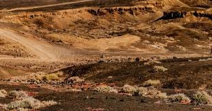 详解棒球规则中的故意漏接陷阱规则